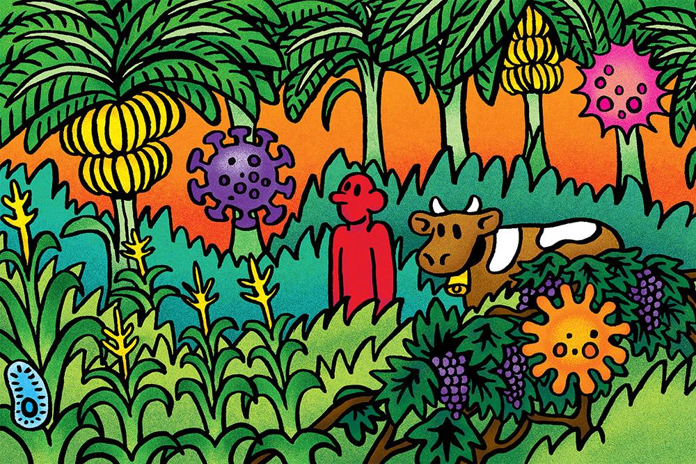 Illustration of a person with a cow surrounded by banana trees and corn 