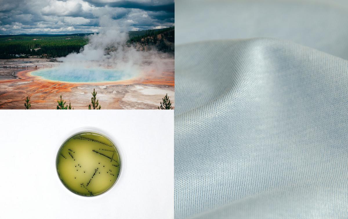 Grant Prismatic Spring, Yellowstone National Park, USA, a green petri dish with a white backdrop and a baby blue woven fabric.