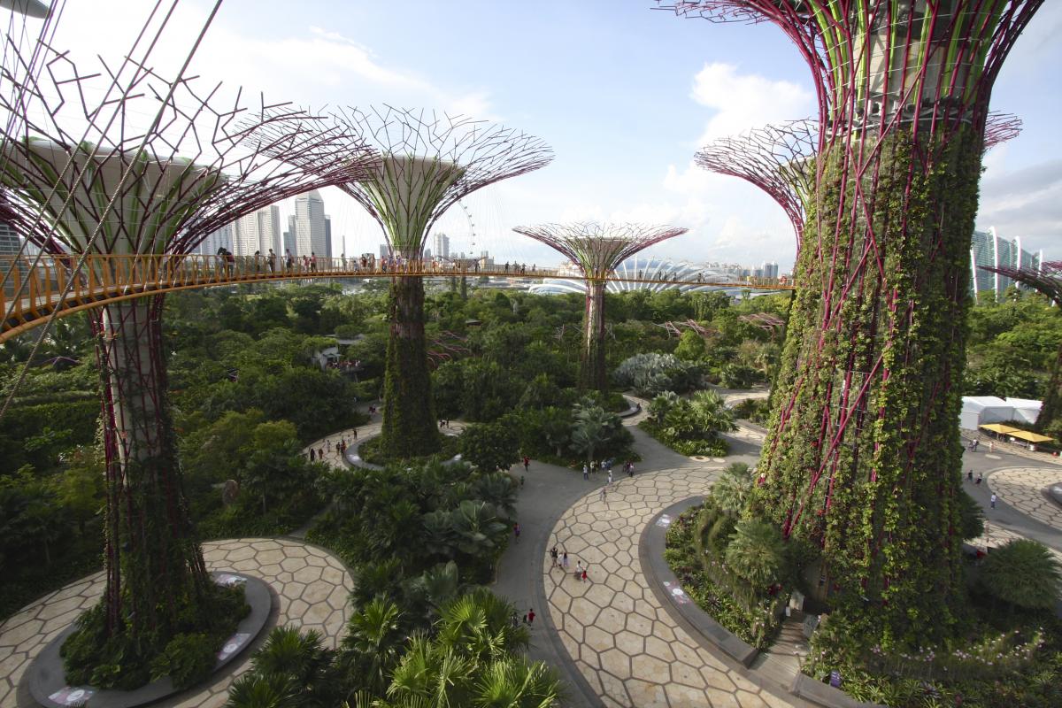 People walking on the pathways and elevated walkways of the supertrees of Gardens by the Bay in Singapore. 