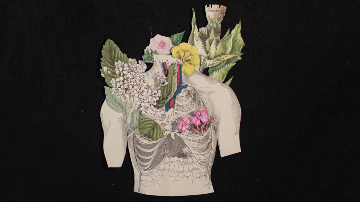 Illustration of flowers growing through a ribcage.