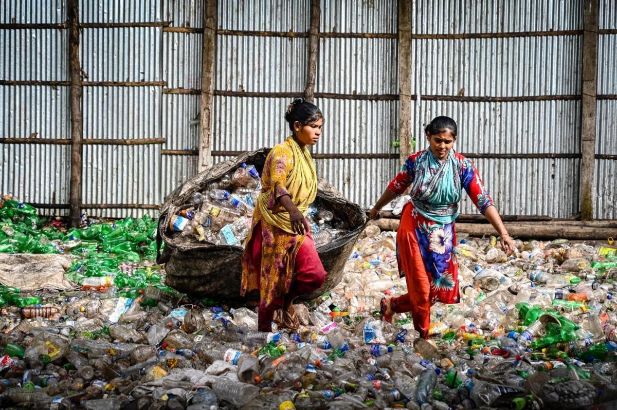 Waste pickers collecting plastic bottles