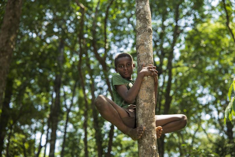 “I belong here.” This curious boy was so eager to showcase his jungle skills to us that within no time, he was on this treetop.