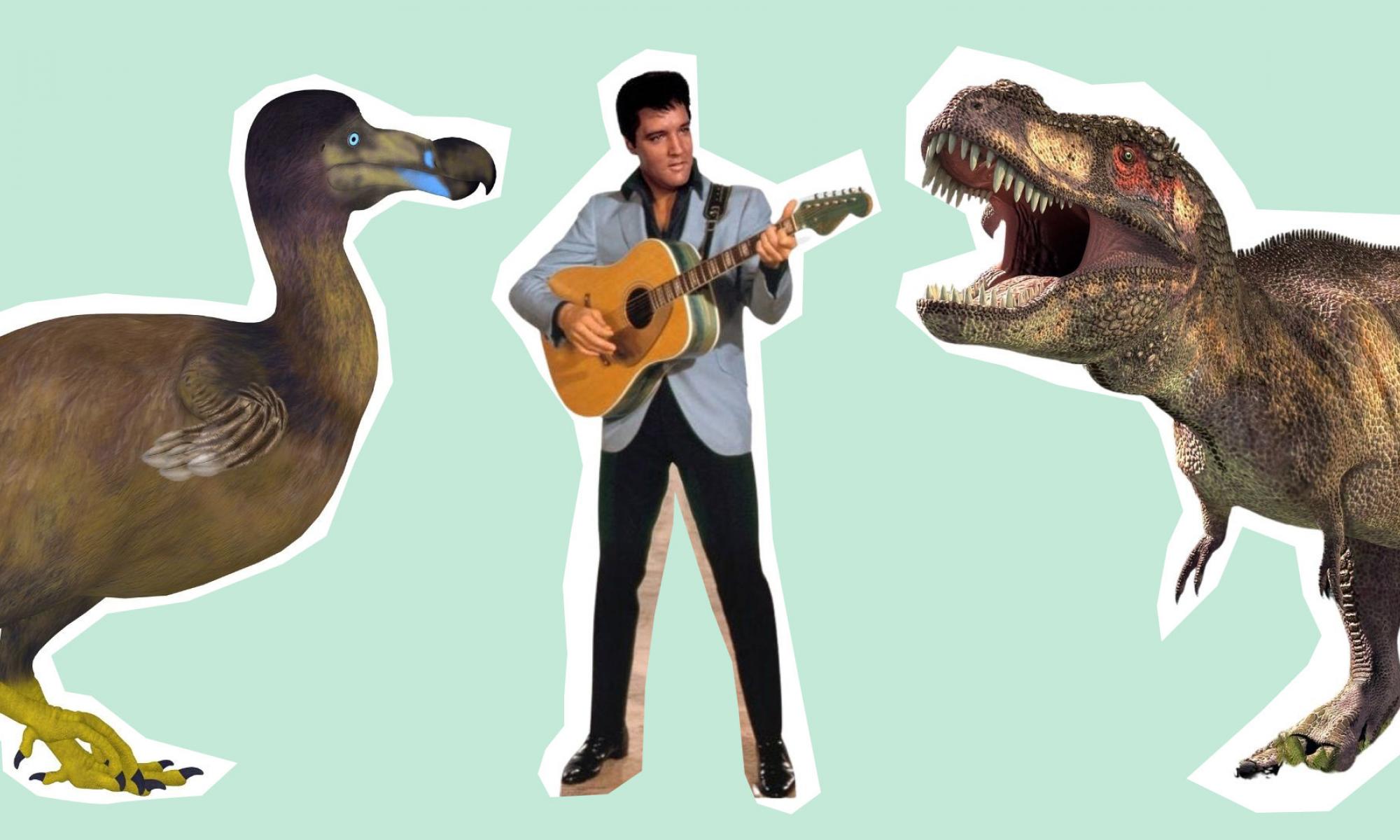 Image of a dodo, Elvis Presley playing a guitar and the T-Rex on a teal backdrop.