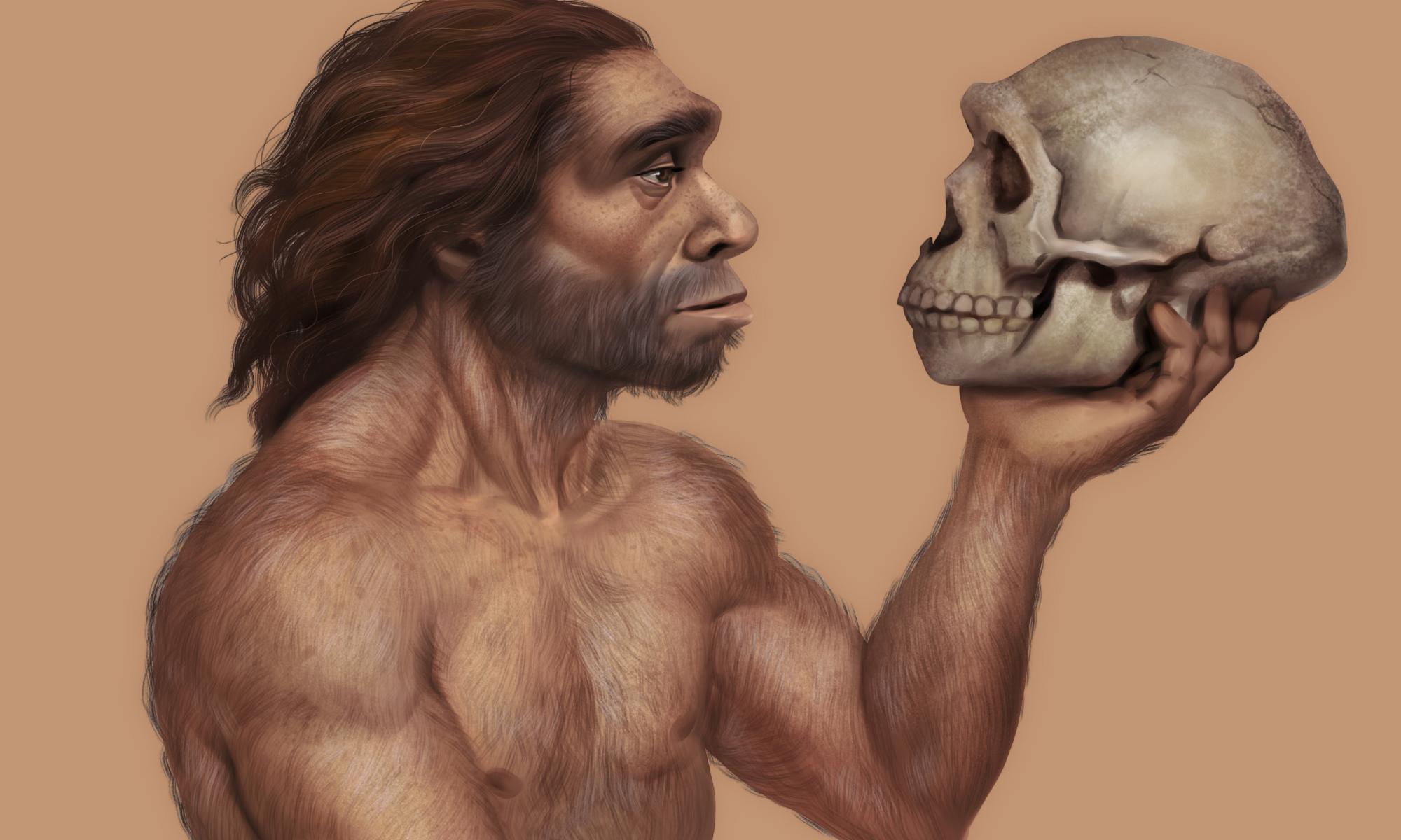 neanderthal looking at skull